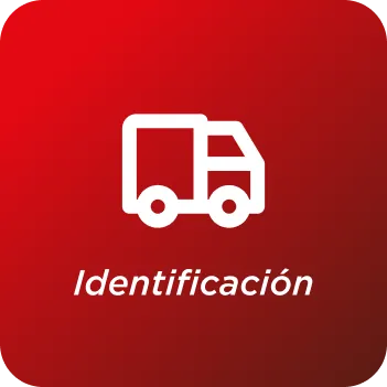 Identificación
